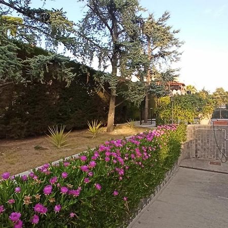 Villa Mary - Apartments Trani Exterior photo
